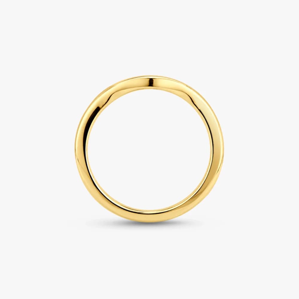 Delicate Allure Gold Ring — image 4